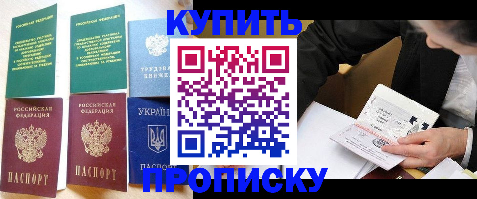 прописка для школы в Бородино